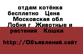 отдам котёнка бесплатно › Цена ­ 1 - Московская обл., Лобня г. Животные и растения » Кошки   